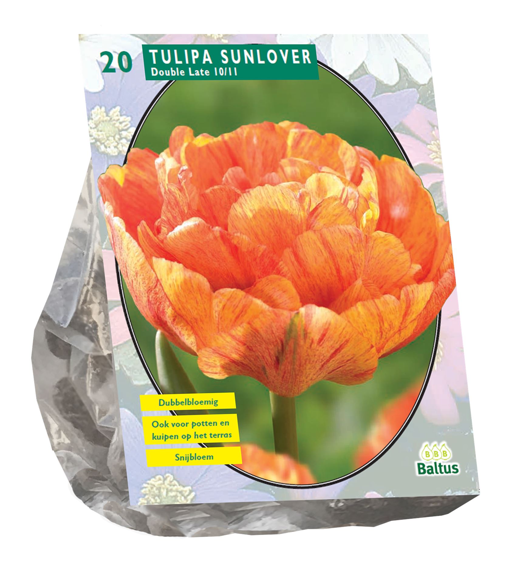Baltus 'Tulipa Sunlover' voorjaarsbloeiers - Dubbel laat - 20 bollen