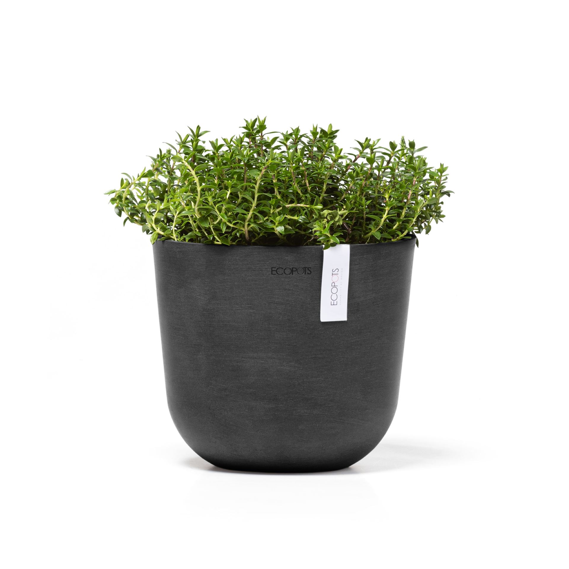 Ecopots-oslo-mini-dark-grey-19-cm-H16-5-cm