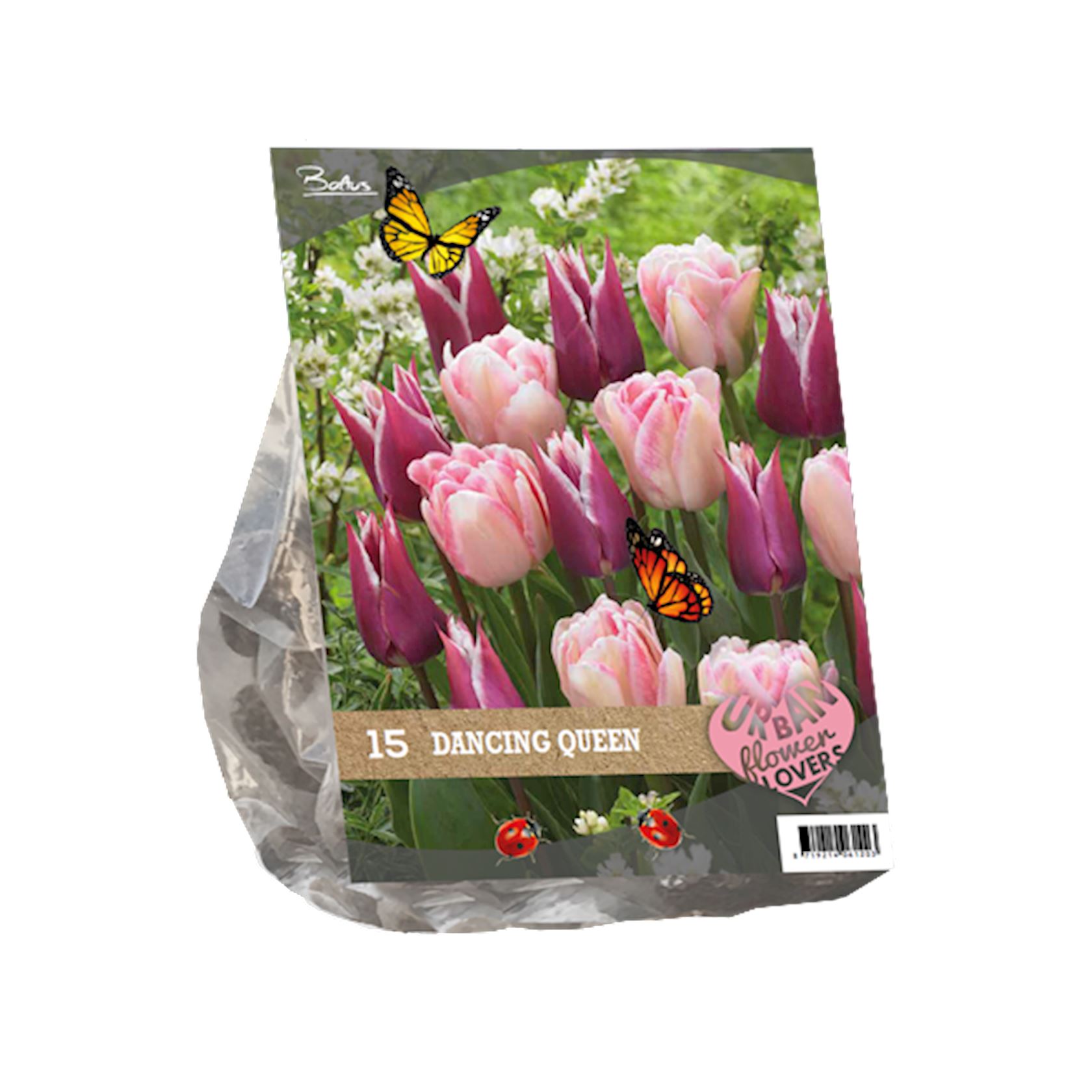 urban-flowers-dancing-queen-per-15