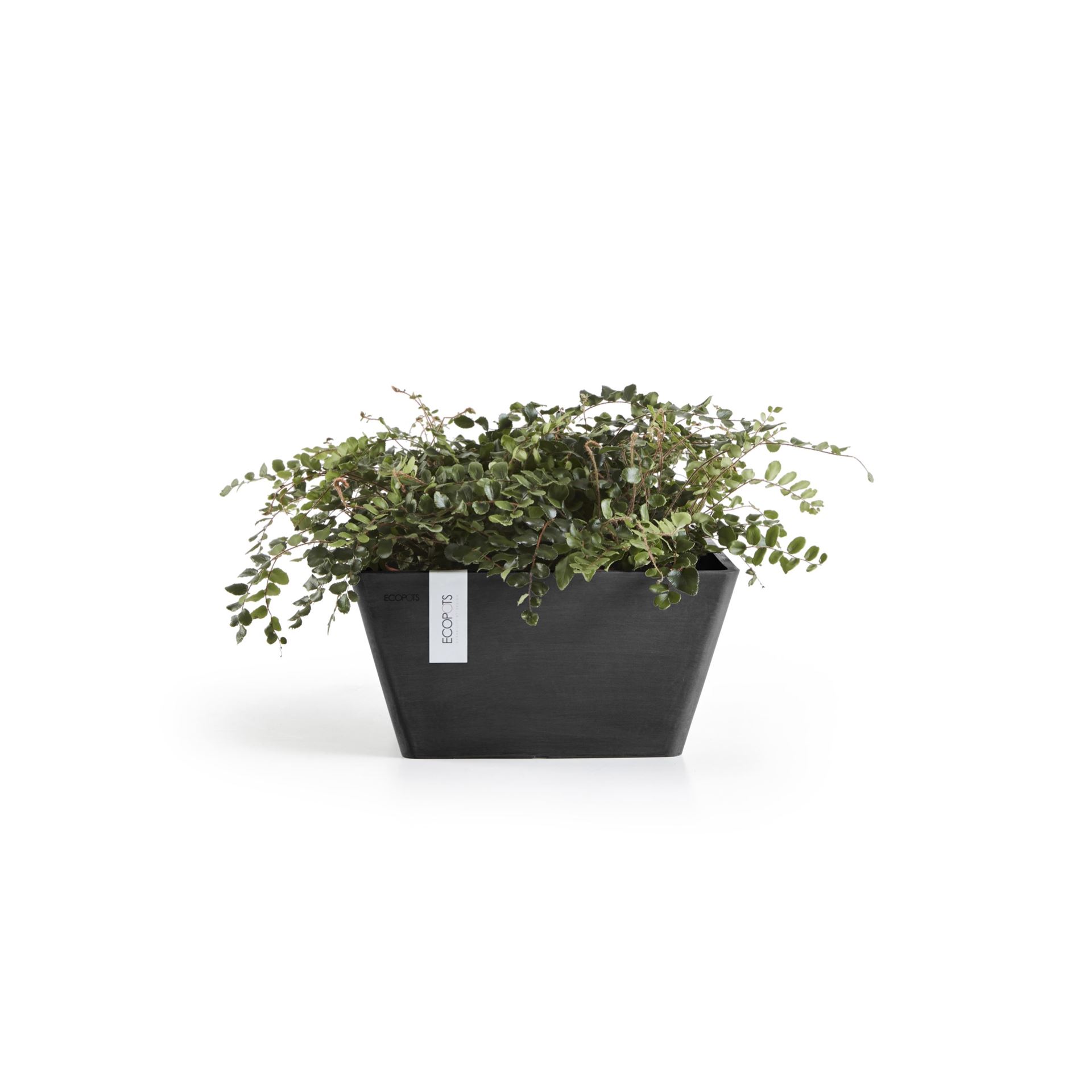 Ecopots-berlin-dark-grey-LBH-30x30x16-cm