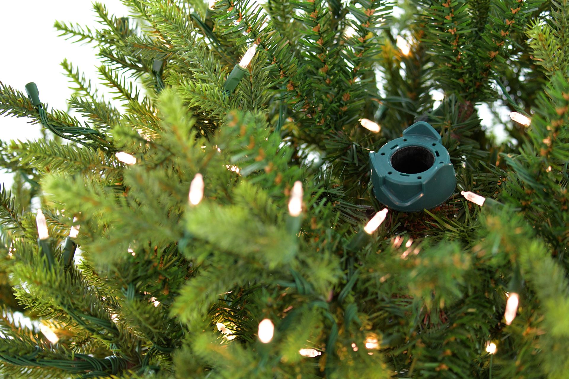 Sami-Mountain-Spruce-Wood-DB-Base-243cm-900L-PTP