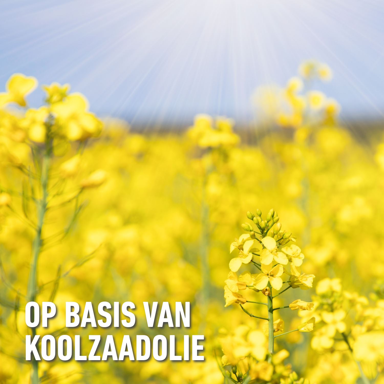 Compo-bio-insect-stop-universeel-spray-750ml