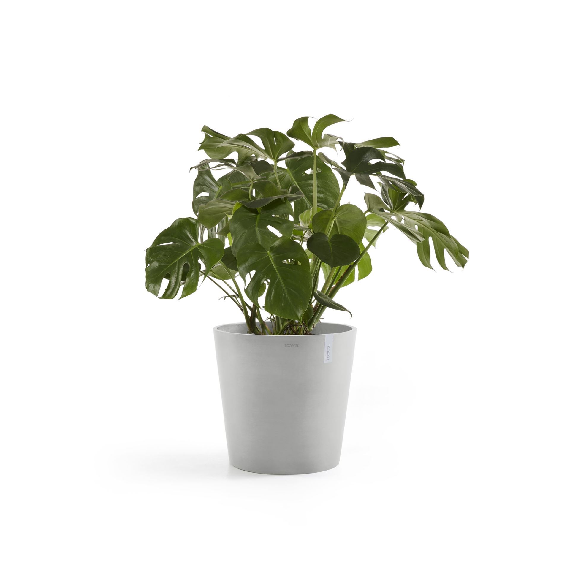 Ecopots-amsterdam-white-grey-60-cm-H49-cm