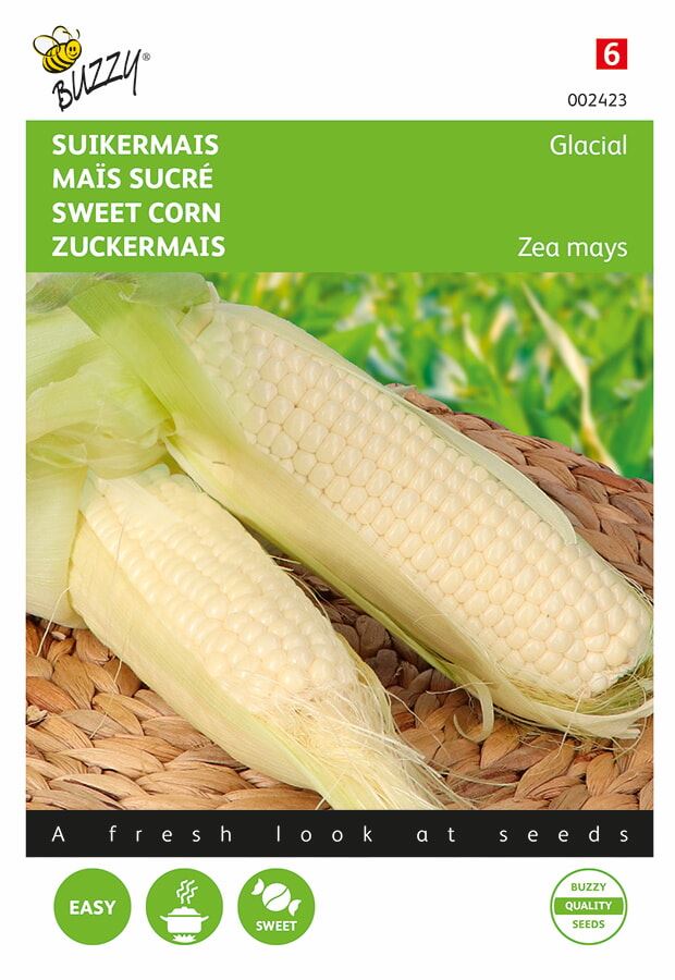 Buzzy-Witte-Mais-Glacial