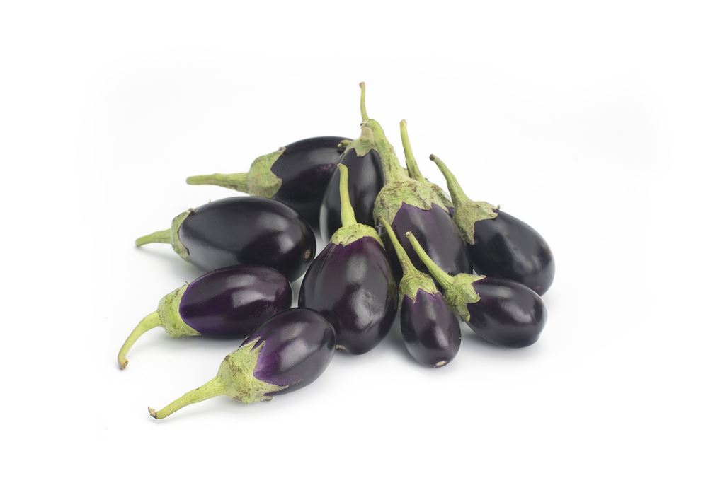 Plantenfiche-Solanum-melongena-l-var-ophelia-F1-Potaubergine-