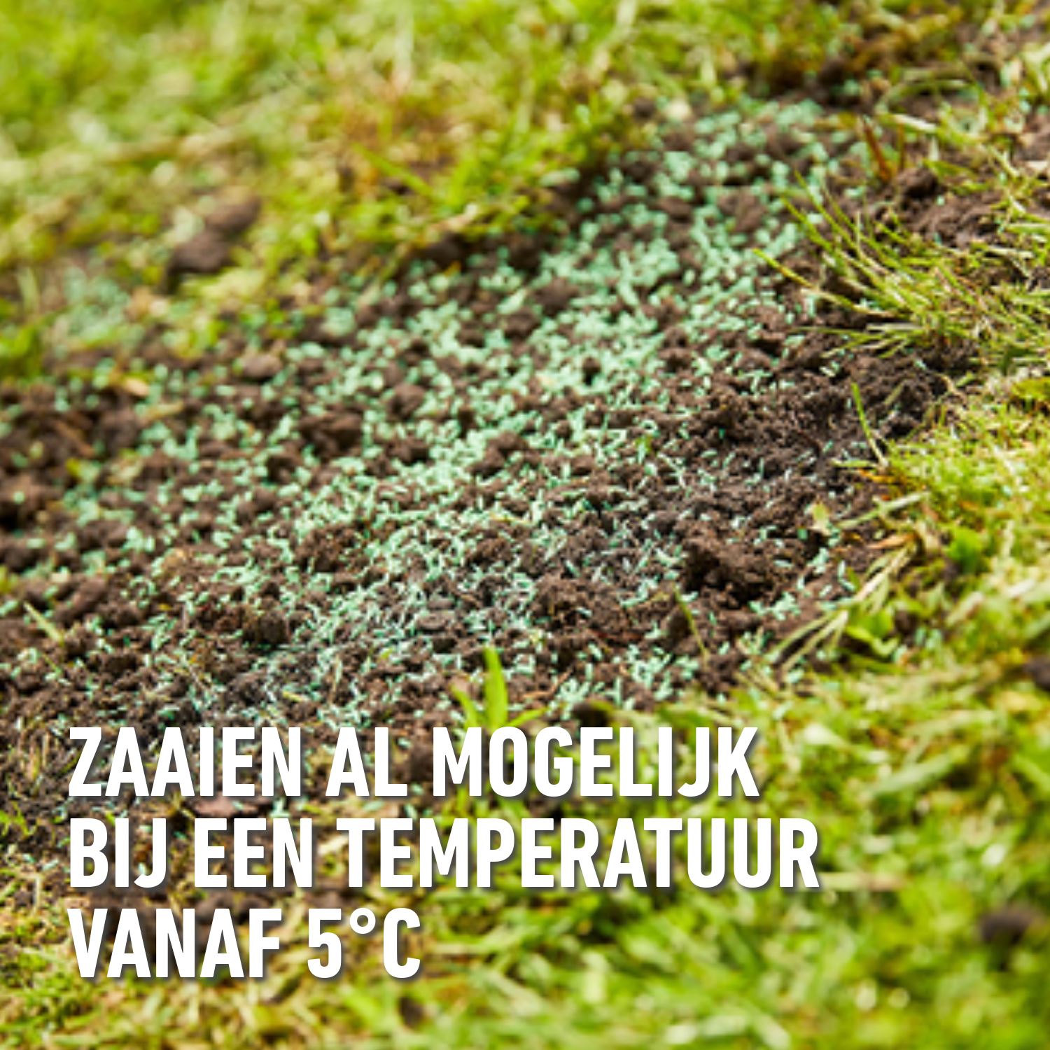 Compo-gazonzaad-sport-spel-2kg