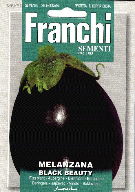 Melanzana Black Beauty - Eggplant