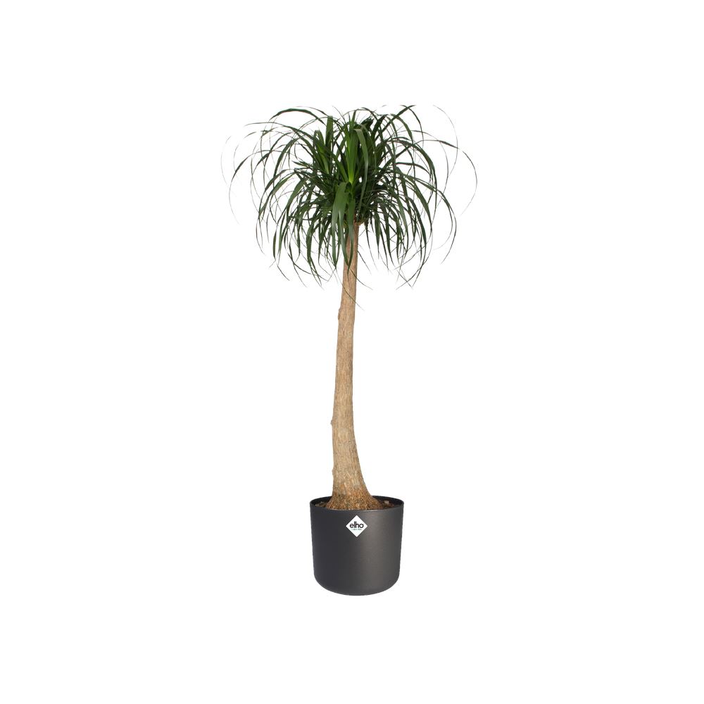 Bloempot-b-for-soft-rond-30cm-antraciet