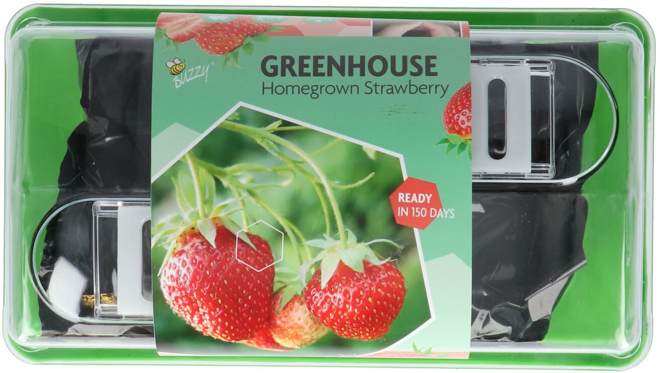 Buzzy-Greenhouse-Homegrown-Aardbei-6-