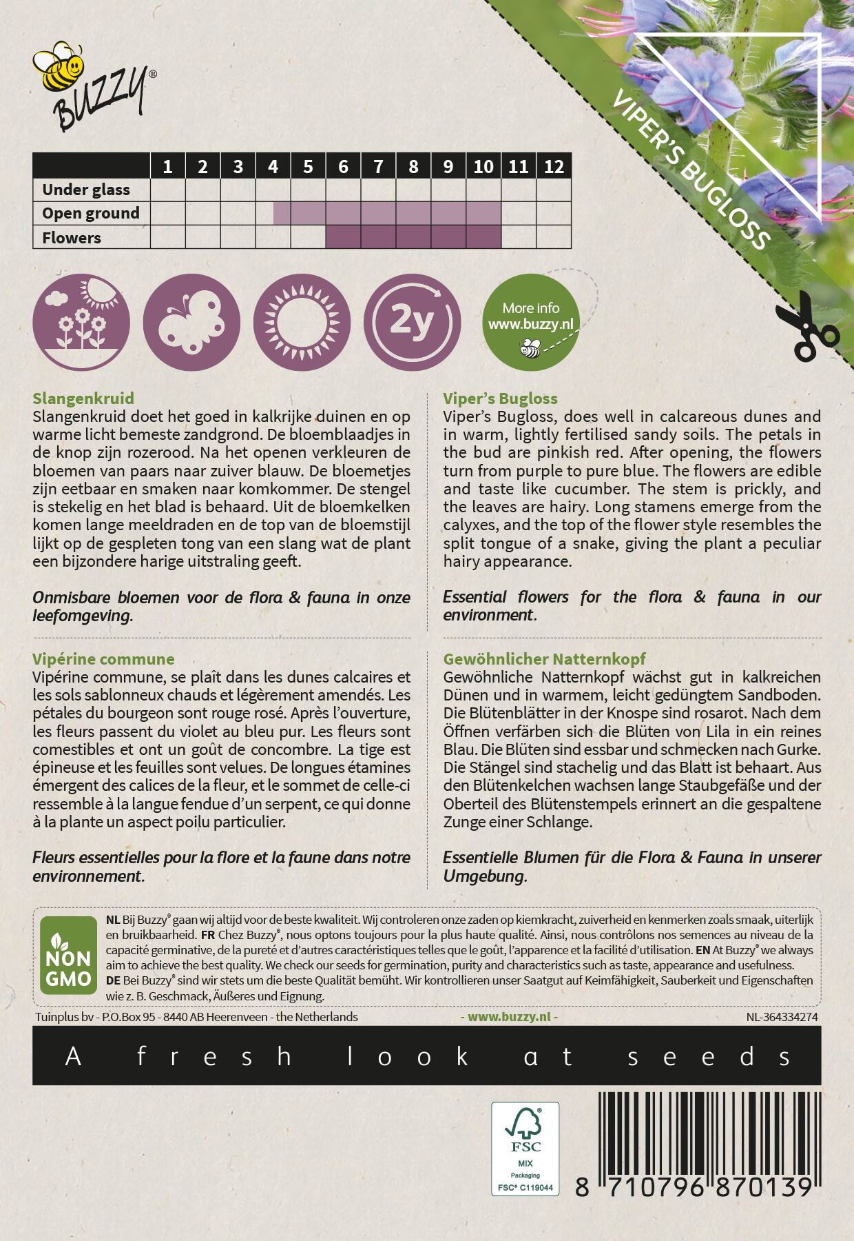 Buzzy-Native-Flowers-Inheems-Echium-vulgare-Slangenkruid