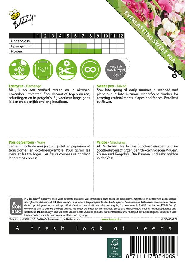 Buzzy-Lathyrus-Sier-of-Reukerwt-meerjarig