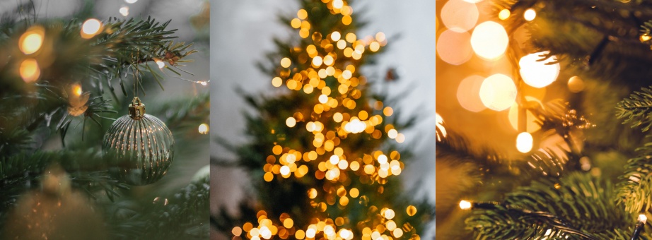 illuminated artificial Christmas trees 