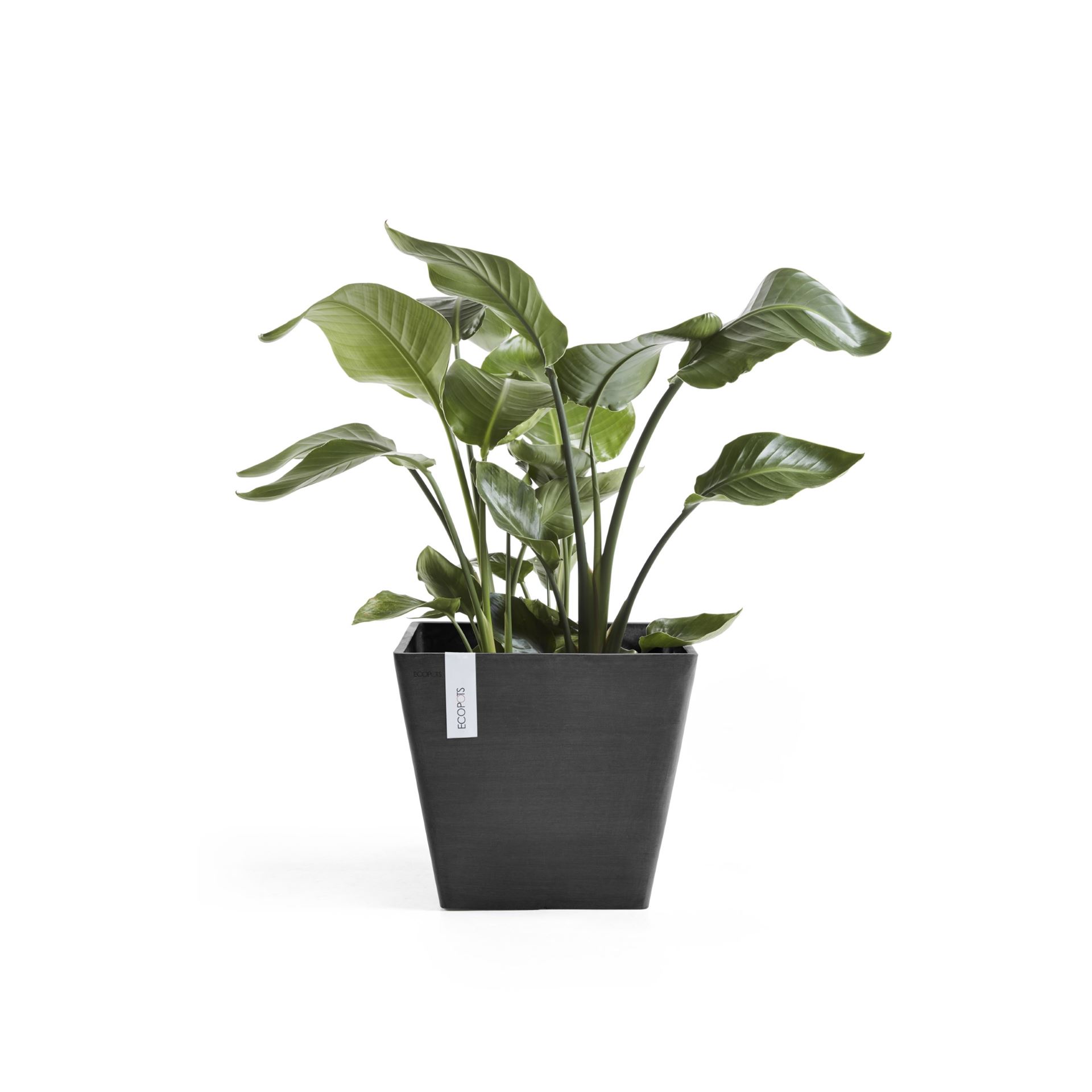 Ecopots-rotterdam-dark-grey-LBH-40x40x35-cm