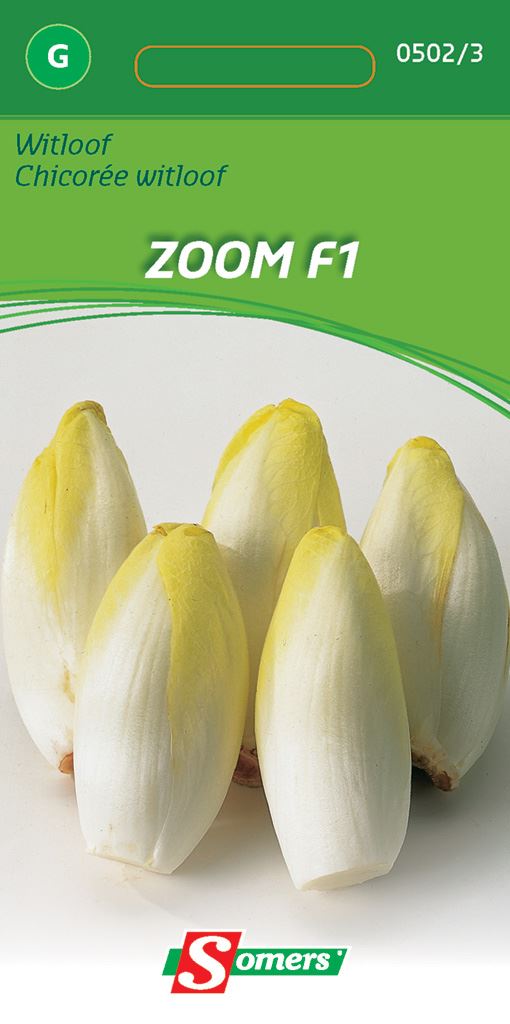 witloof-zoom-f1