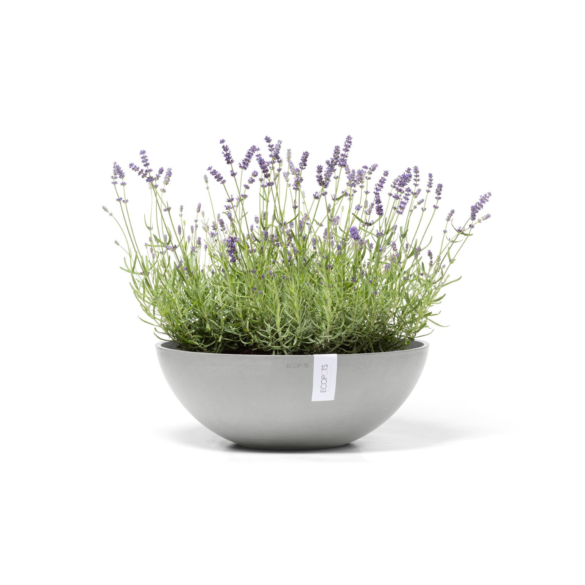 Ecopots-vienna-white-grey-50-cm-H-18cm