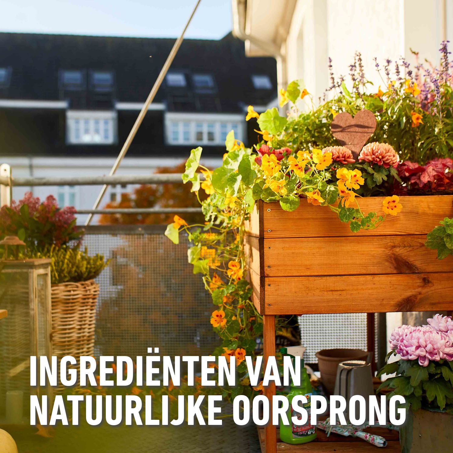 Compo-fazilo-spray-750ml