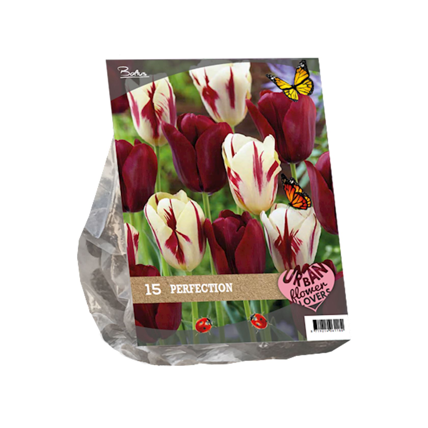 urban-flowers-perfection-per-15