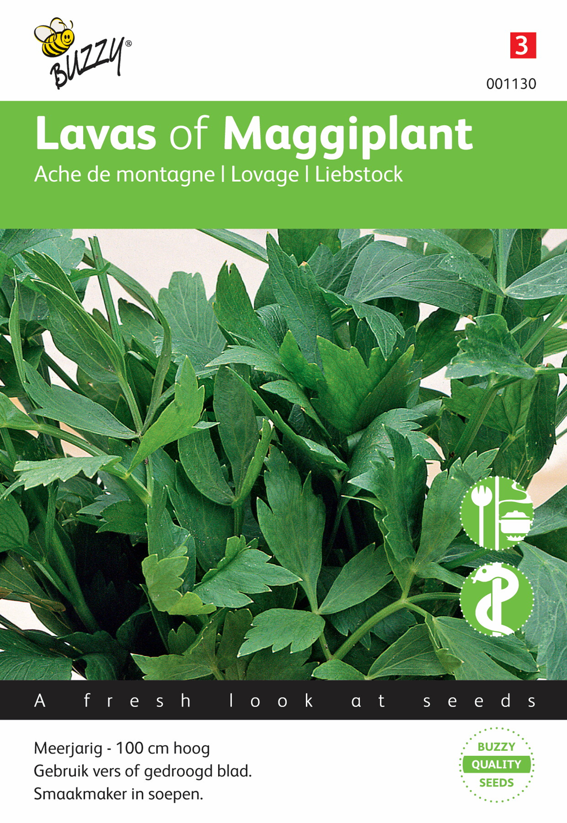 Buzzy® Lavas or Maggiplant seeds - Ache de montagne