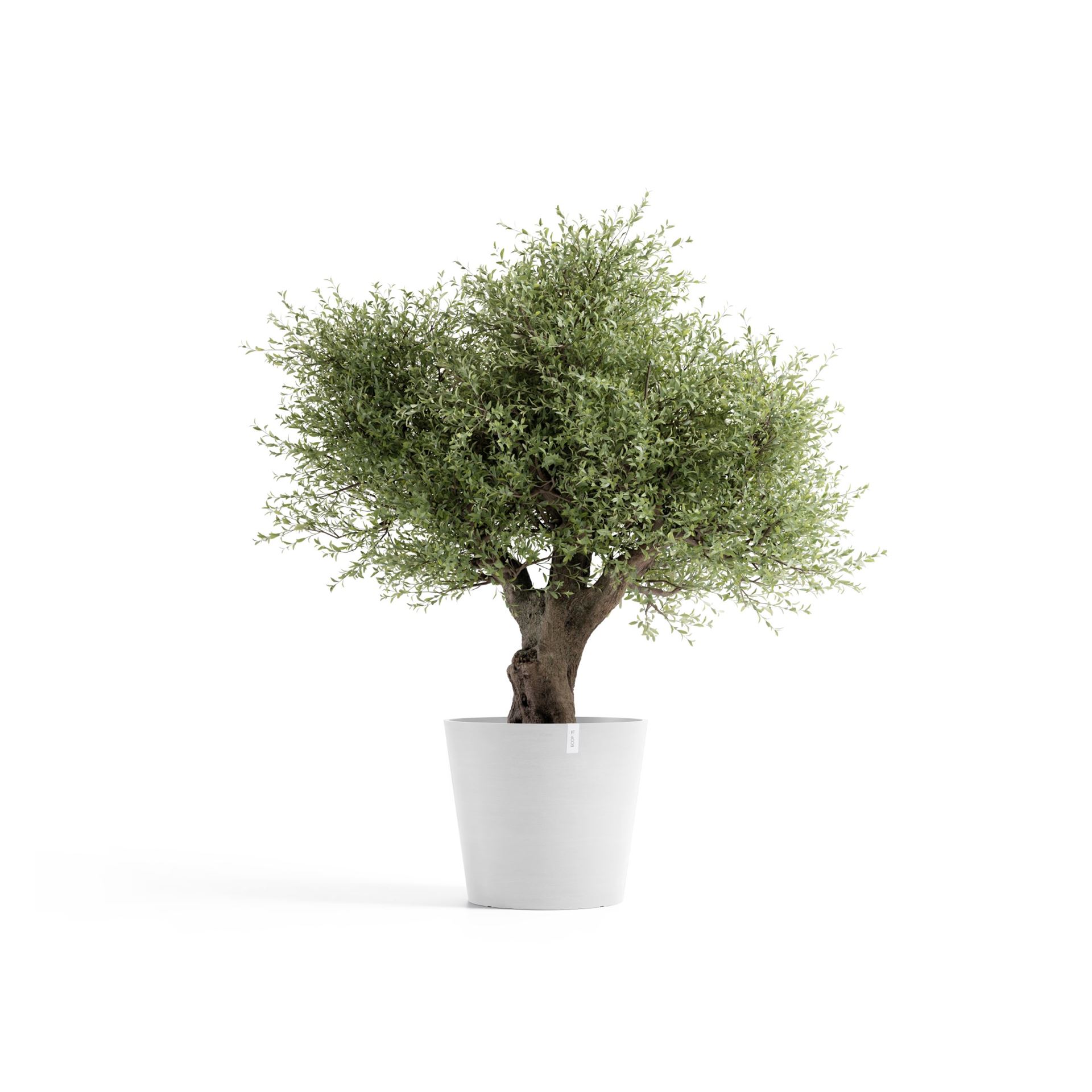 ecopots-Amsterdam-Pure-White-70-cm-H61-3-cm