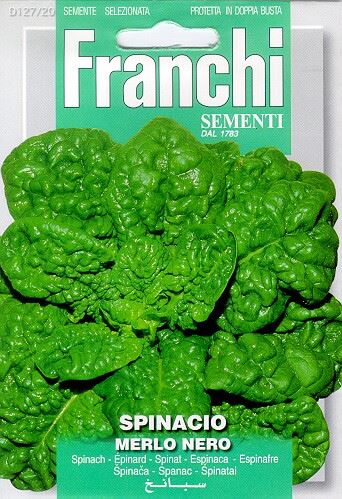 Spinacio Merlo Nero - Spinach Darkleaf