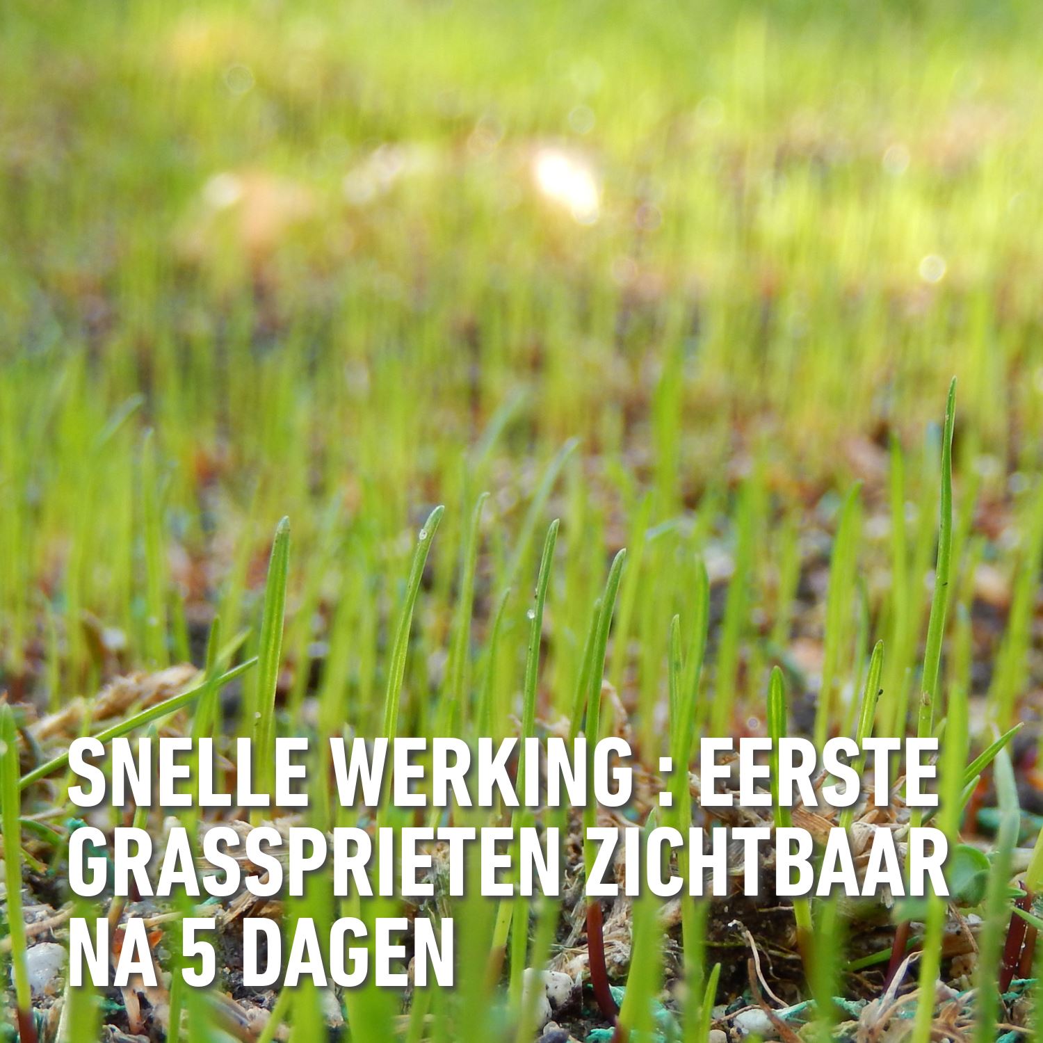 Compo-easy-mix-2-in-1-100-m-2-2kg