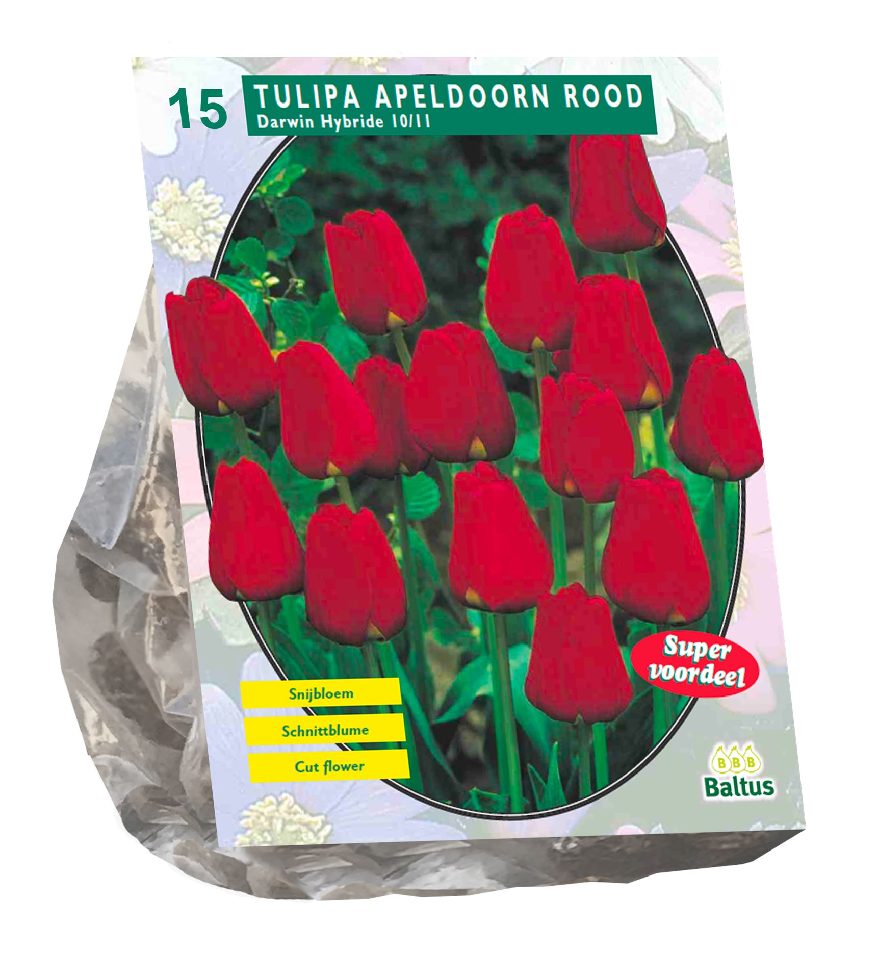 Baltus 'Tulipa Apeldoorn Rood' voorjaarsbloeiers - Darwin - 15 bollen