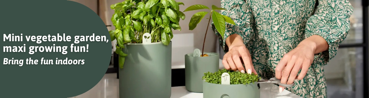 growing pots
