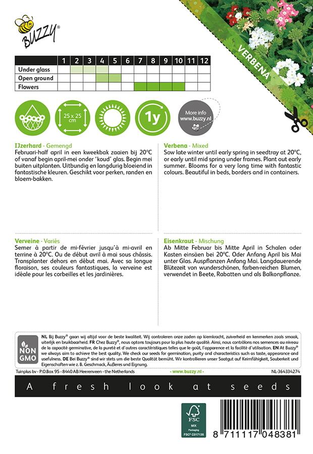 Buzzy-Verbena-IJzerhard-compact-kleurenmengsel