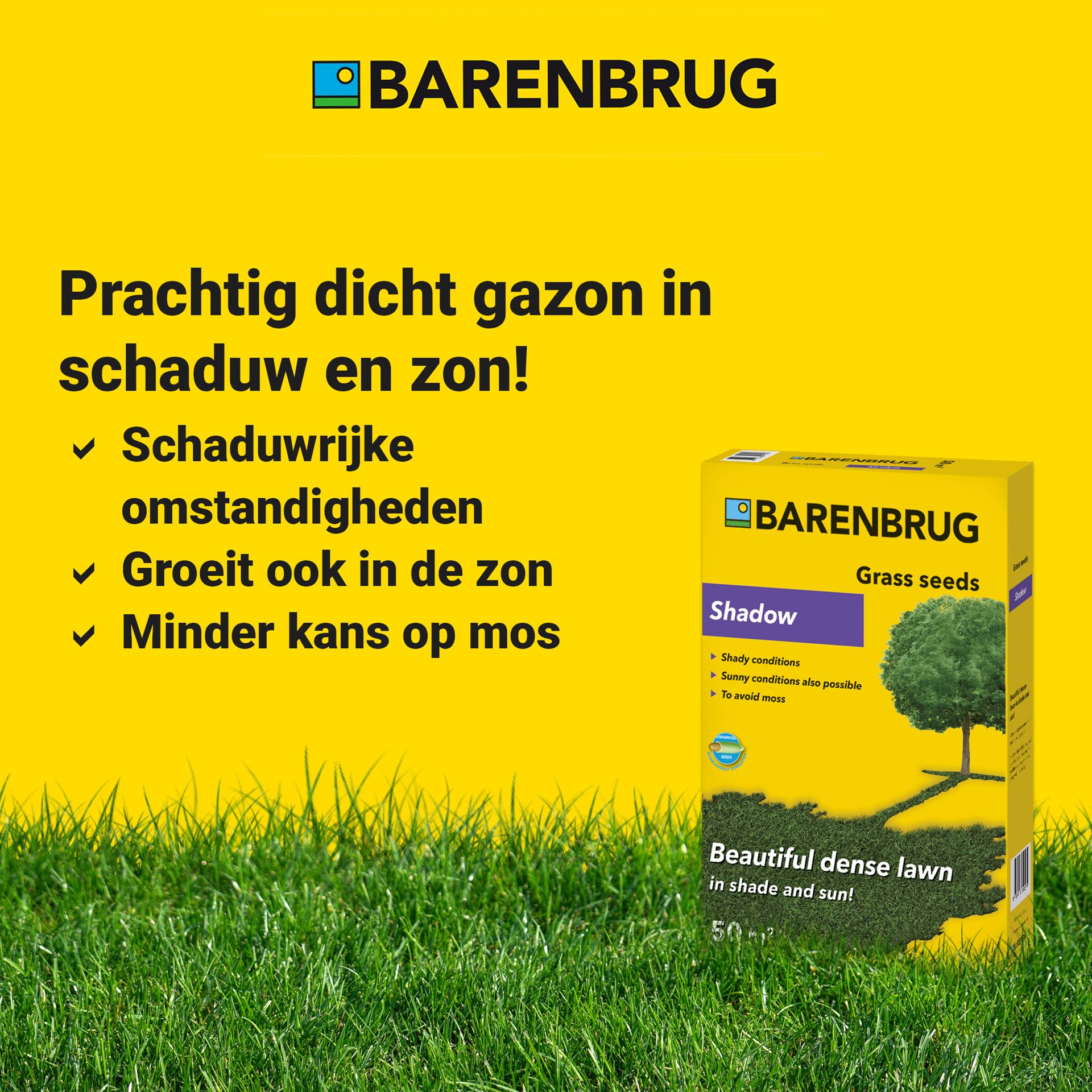 Shadow-schaduw-graszaad-voor-in-de-schaduw-en-zon-5kg-gecoat