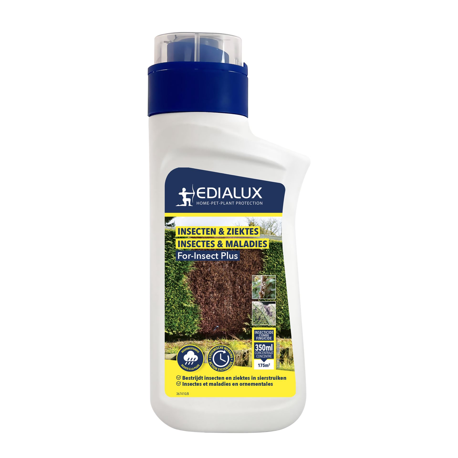 For-Insect-Plus-350ml-voor-175m-Tegen-insecten-witziekte-en-roest-op-sierplanten