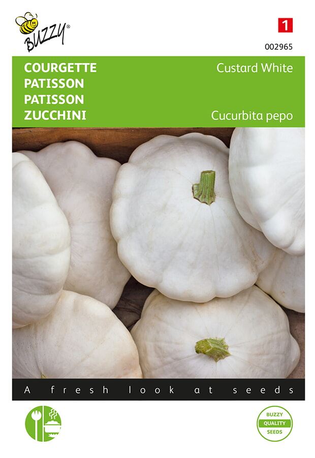 Buzzy-Patisson-Custard-White