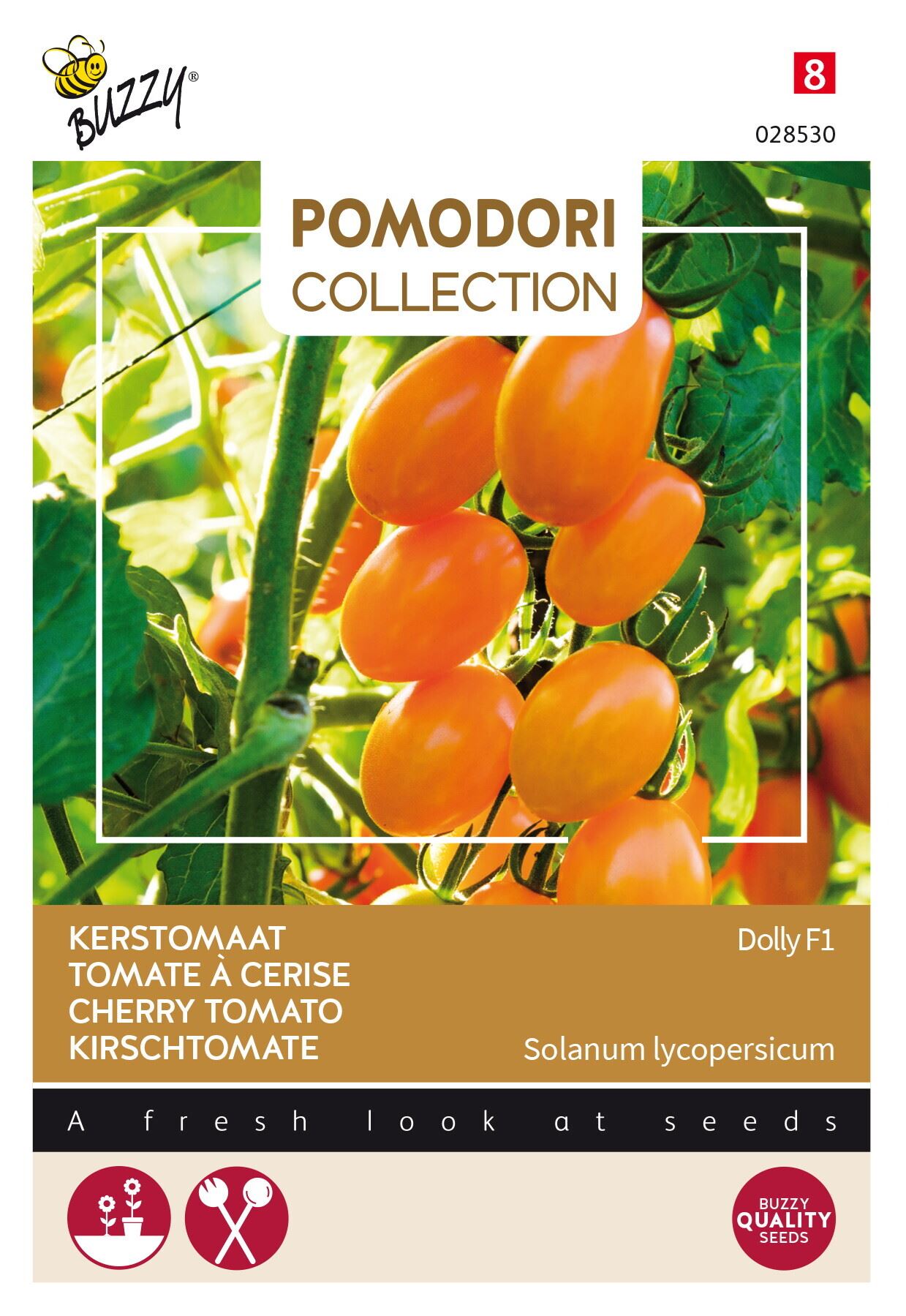 Buzzy® Pomodori Dolly F1 cherry tomato seeds