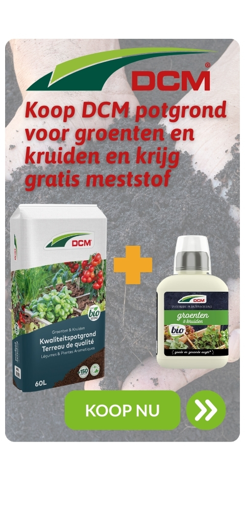 TW_DCM_actie-potgrond-groenten-kruiden_BE