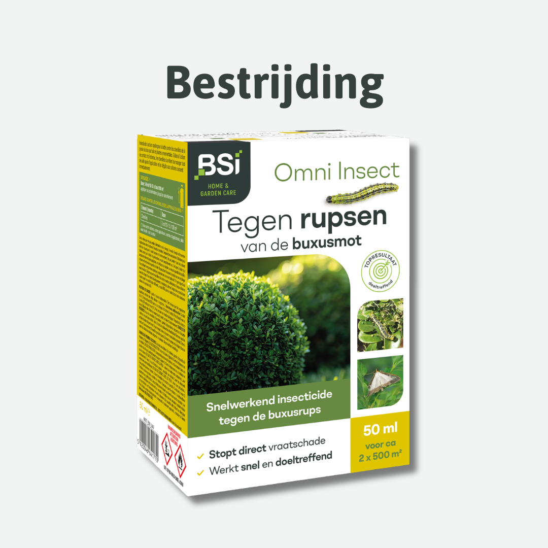 bestrijding van de buxusrups