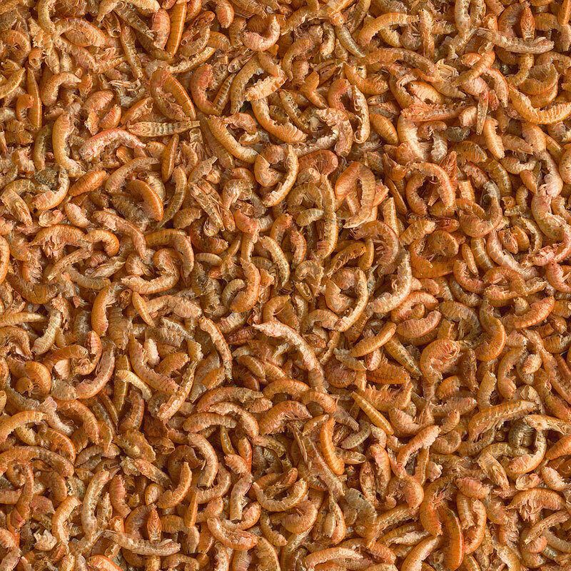 gammarus-0-3-kilo