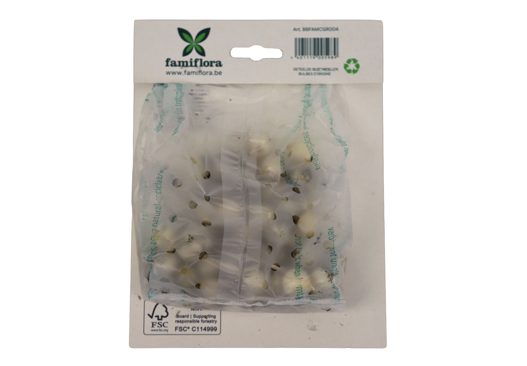 Famiflora Allium Sphaerocephalon - 60 bulbs - Size 5/6 - Spring bloomers