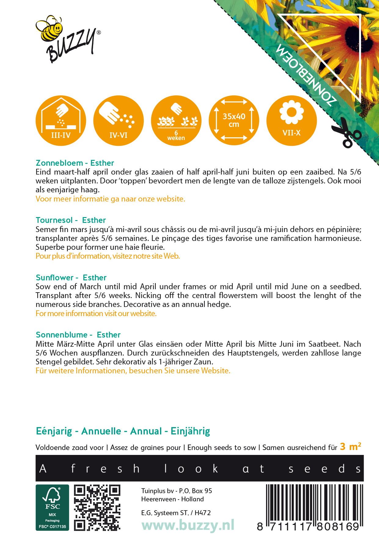 Buzzy-Sunny-Flowers-Zonnebloem-Esther