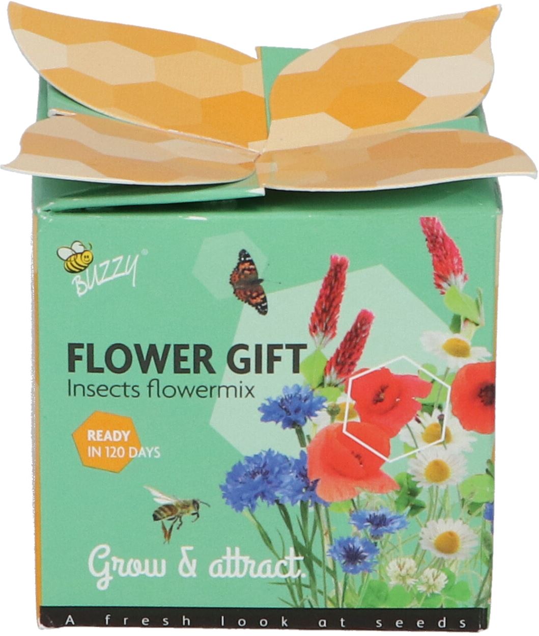 Buzzy-Display-Flower-Gift-Insect-Flower-mix-48-