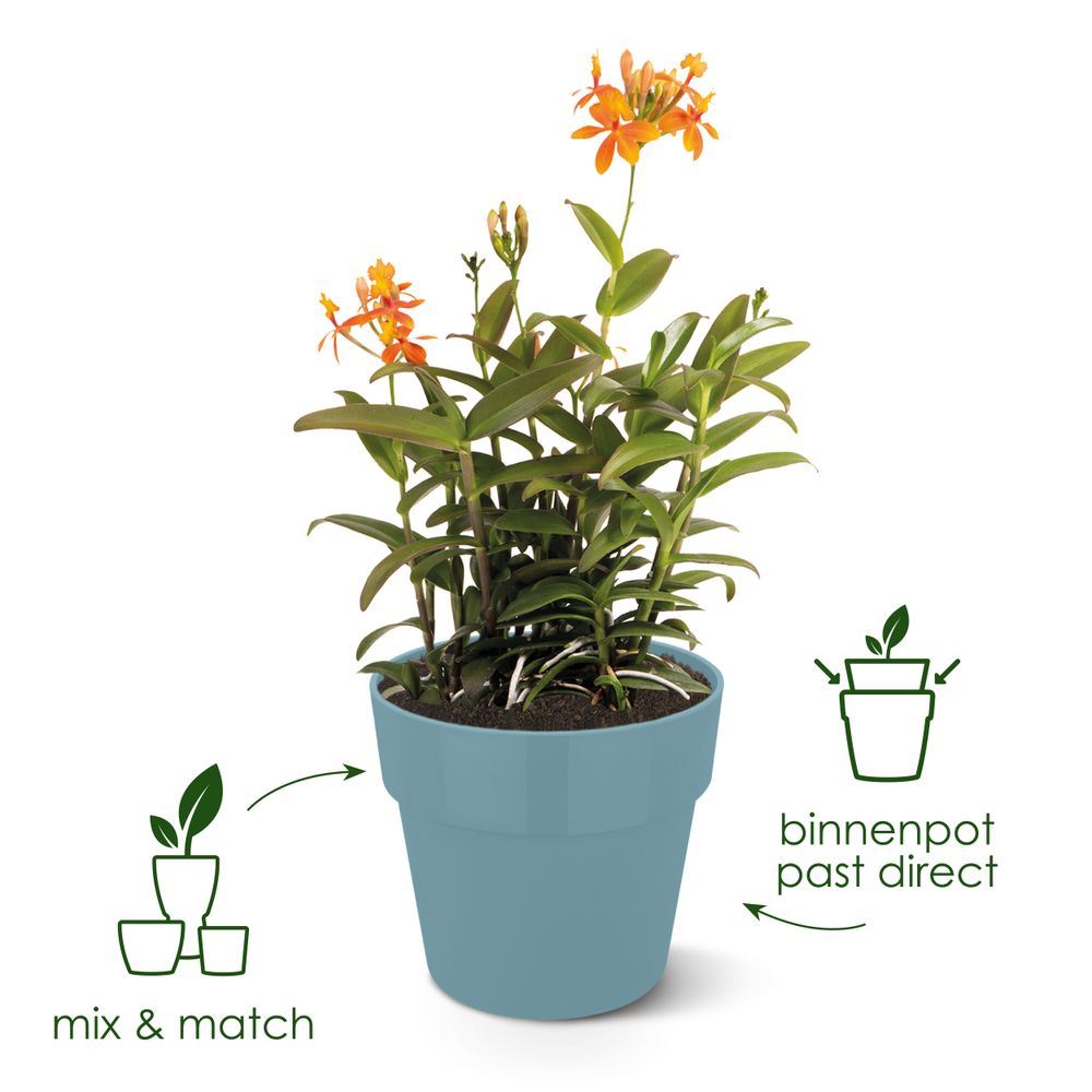 Bloempot-b-for-original-rond-22cm-wit