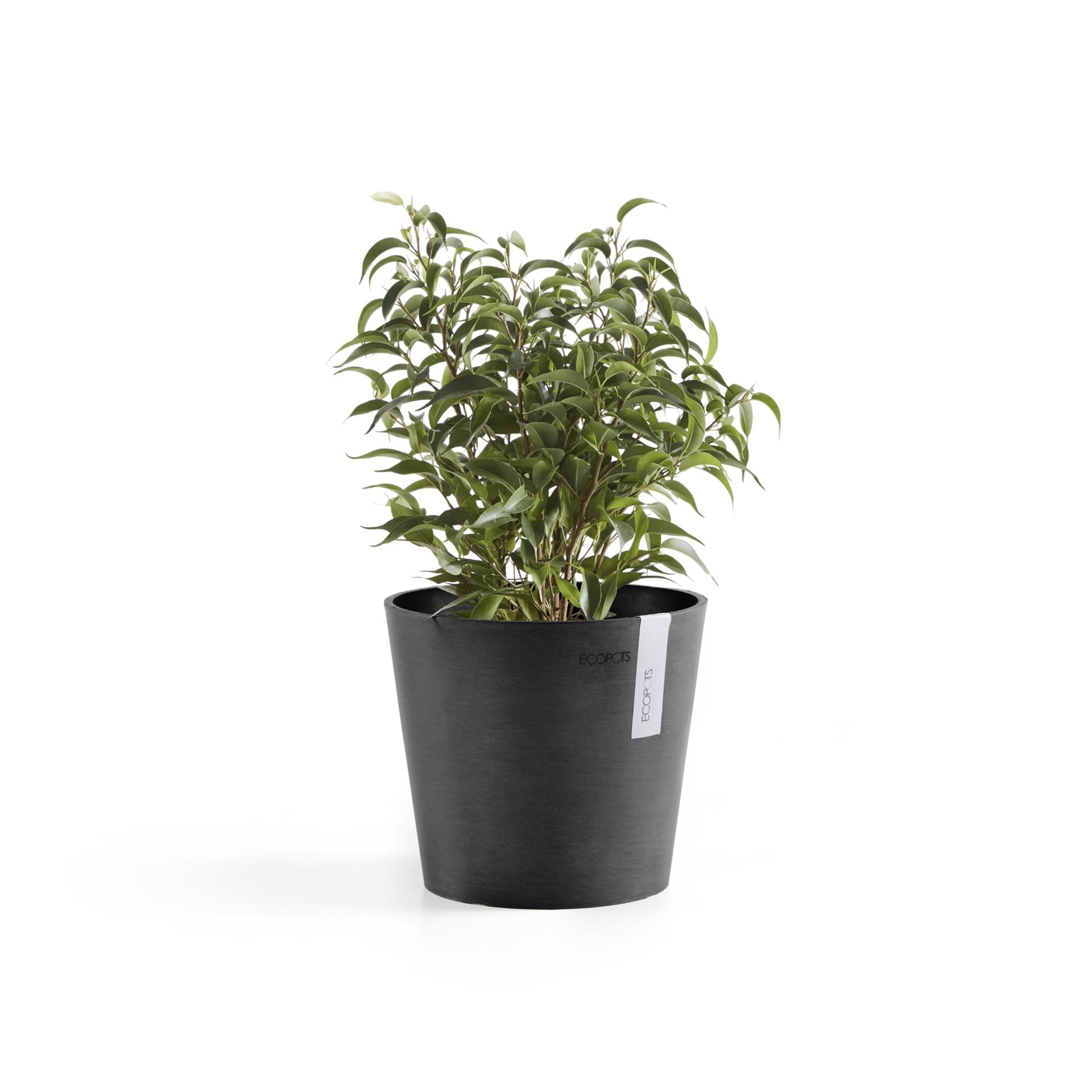 Ecopots-amsterdam-mini-dark-grey-17-cm-H14-9-cm