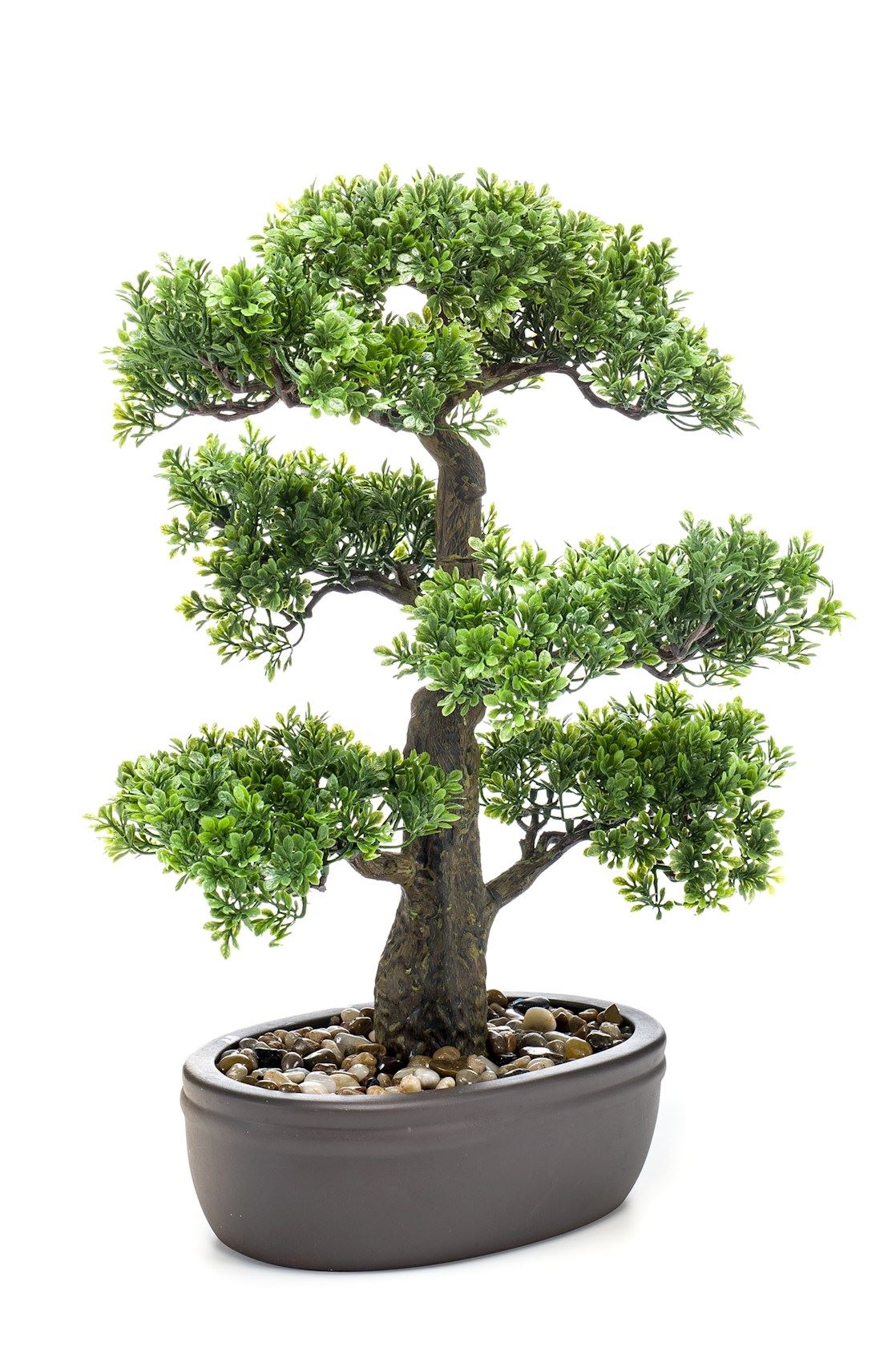 Ficus-mini-bonsai-43cm-in-bruine-pot