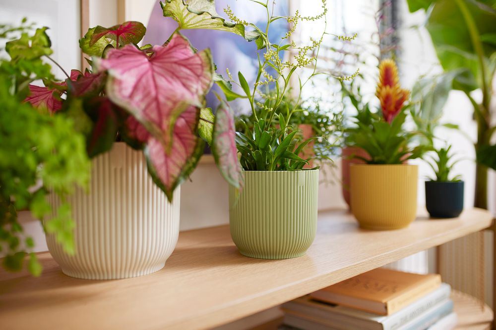 Bloempot-Vibes-fold-rond-16cm-Sorbet-groen