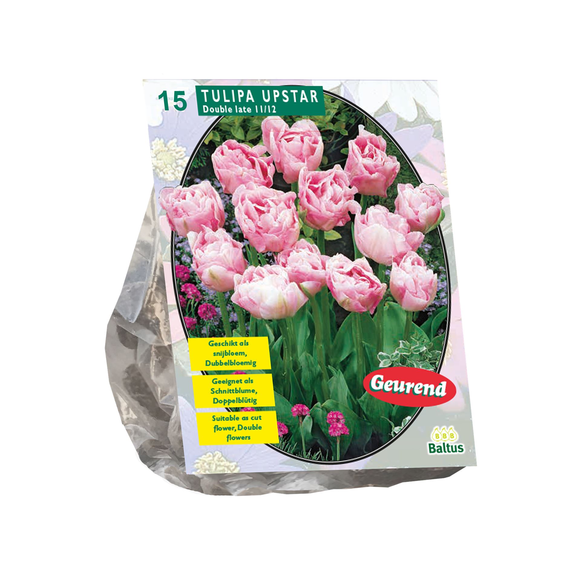 Tulipa-Dubbel-Laat-Upstar-per-15