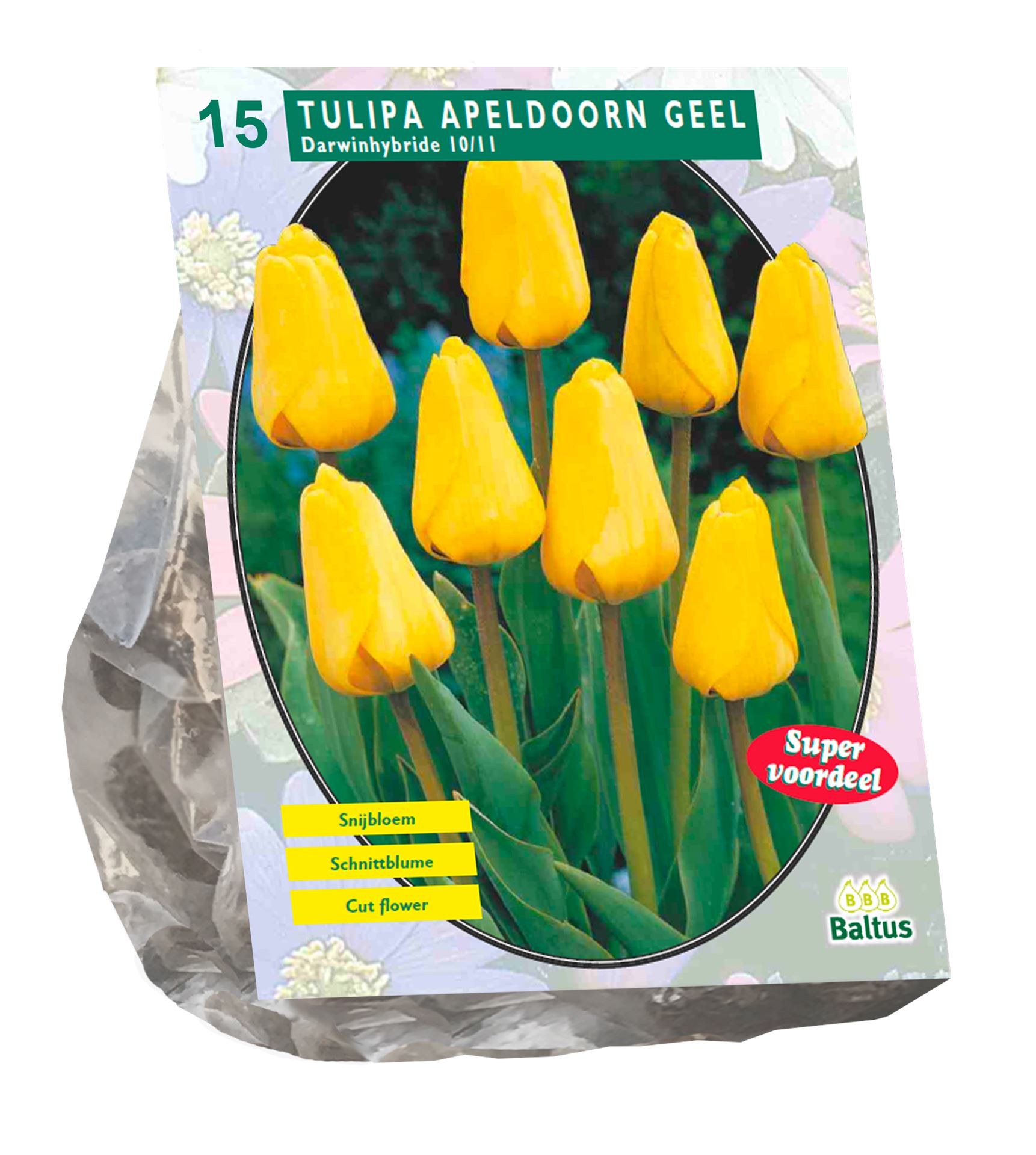Baltus 'Tulipa Apeldoorn Geel' voorjaarsbloeiers - Darwin - 15 bollen