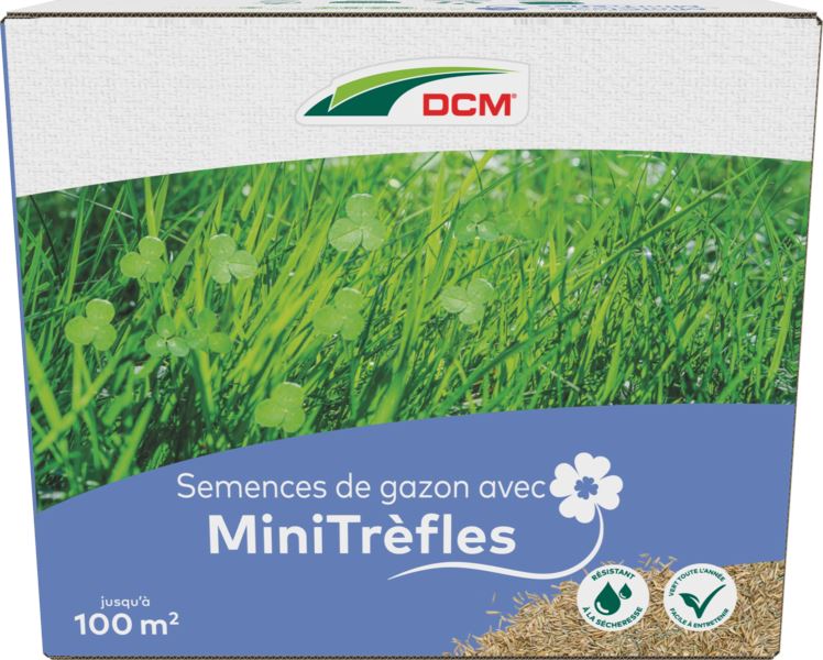 DCM Grass Seed with Miniclover 2KG for 100m² - For a strong, green and low maintenance lawn