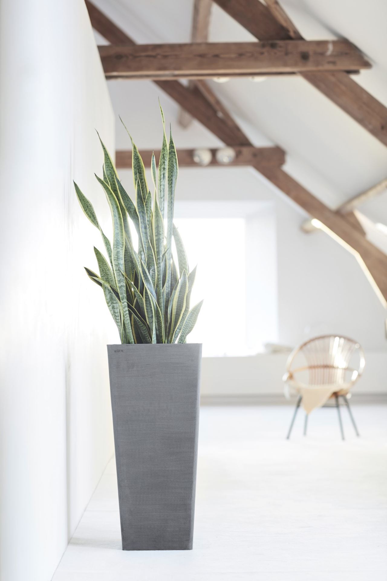 Ecopots-rotterdam-high-grey-LBH-32x32x70-cm