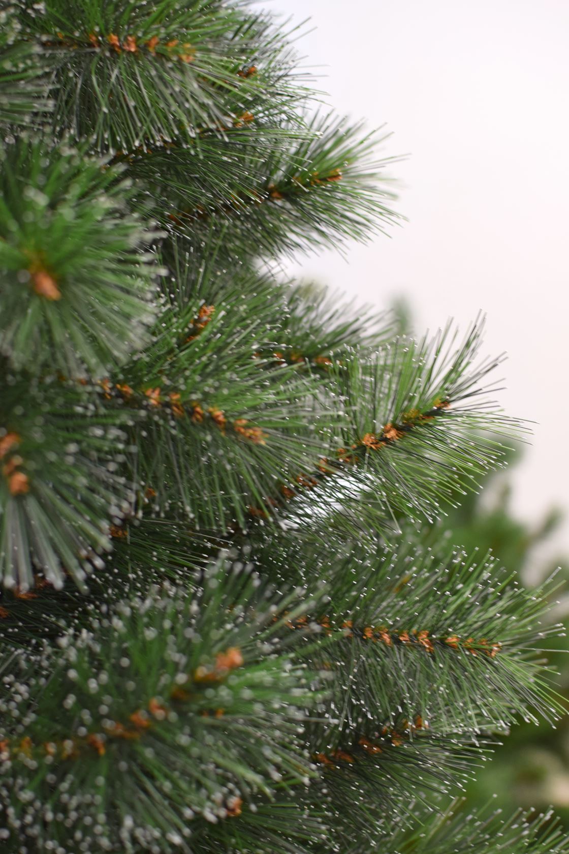 Cleveland-Frosted-Pine-225cm