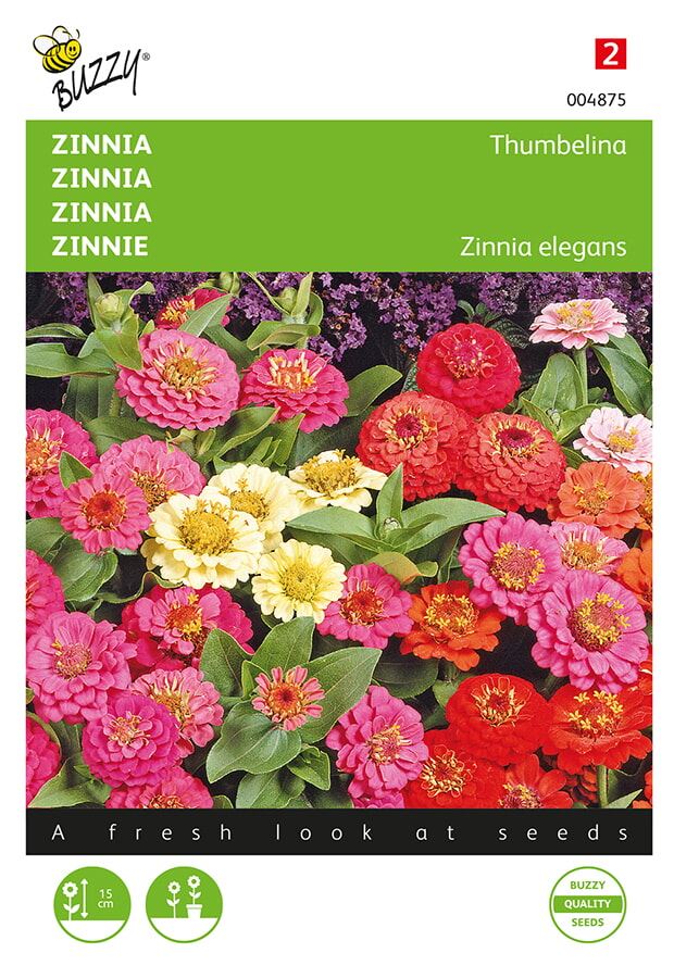 Buzzy® Zinnia zaden - Thumbelina - laag - gemengd