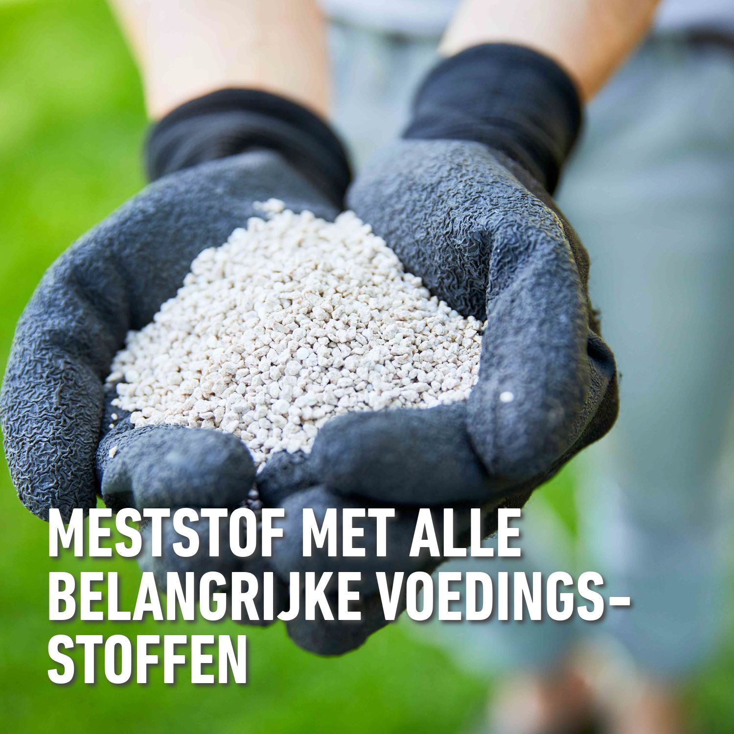 compo-gazonmeststof-met-lange-werking-50m-gratis-12-KG