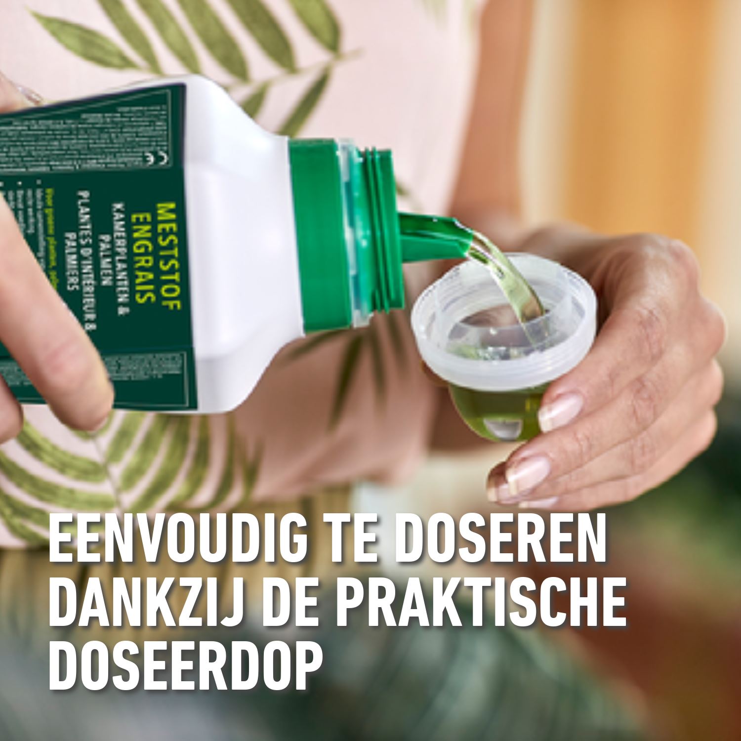 Compo-vloeibare-meststof-kamerplanten-palmen-1L